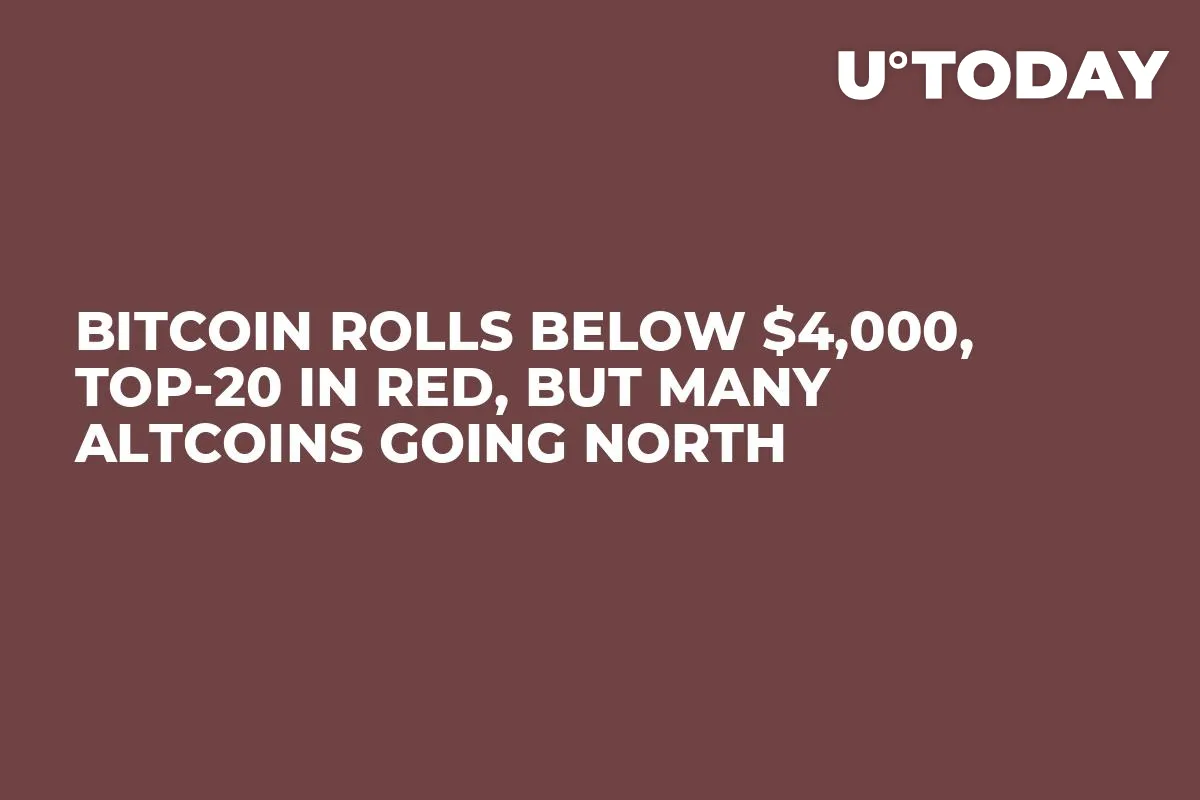 Bitcoin Rolls Below $4,000, Top-20 in Red, But Many Altcoins Going North