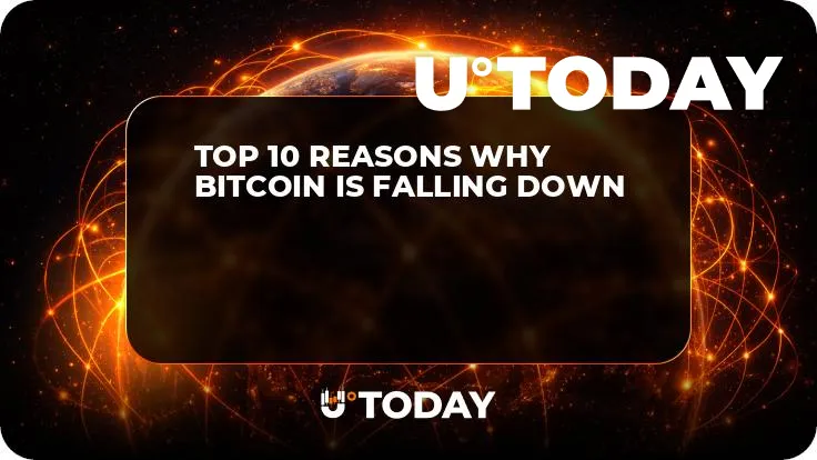 Top 10 Reasons Why Bitcoin Is Falling Down 
