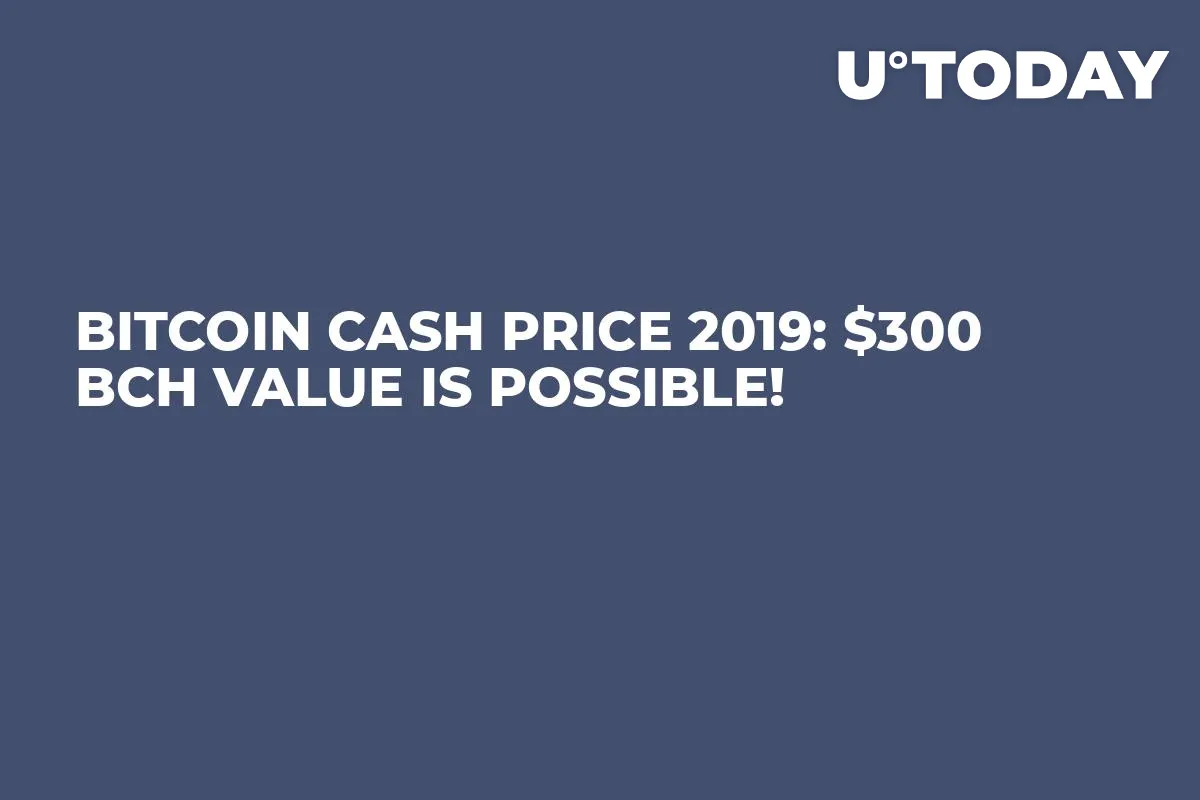 Bitcoin Cash Price 2019: $300 BCH Value Is Possible! 