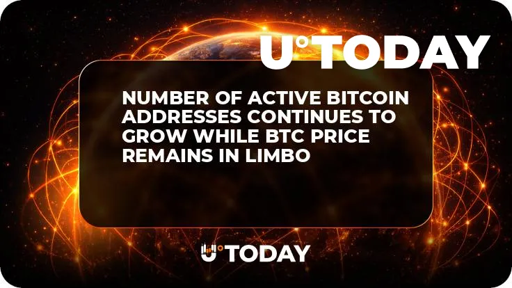 Number of Active Bitcoin Addresses Continues to Grow While BTC Price Remains in Limbo