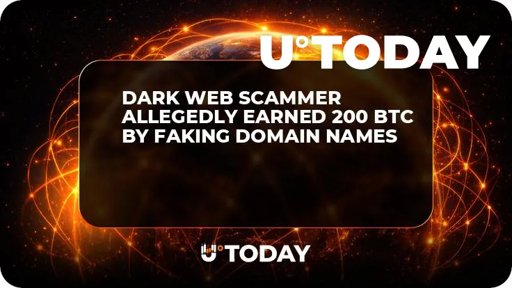 Dark Web Scammer Allegedly Earned 200 BTC by Faking Domain Names