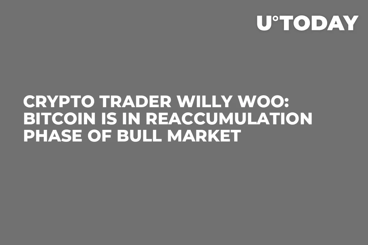 Crypto Trader Willy Woo: Bitcoin is in Reaccumulation Phase of Bull Market