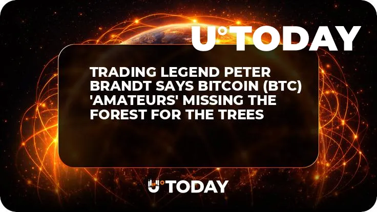 Trading Legend Peter Brandt Says Bitcoin (BTC) 'Amateurs' Missing the Forest for the Trees