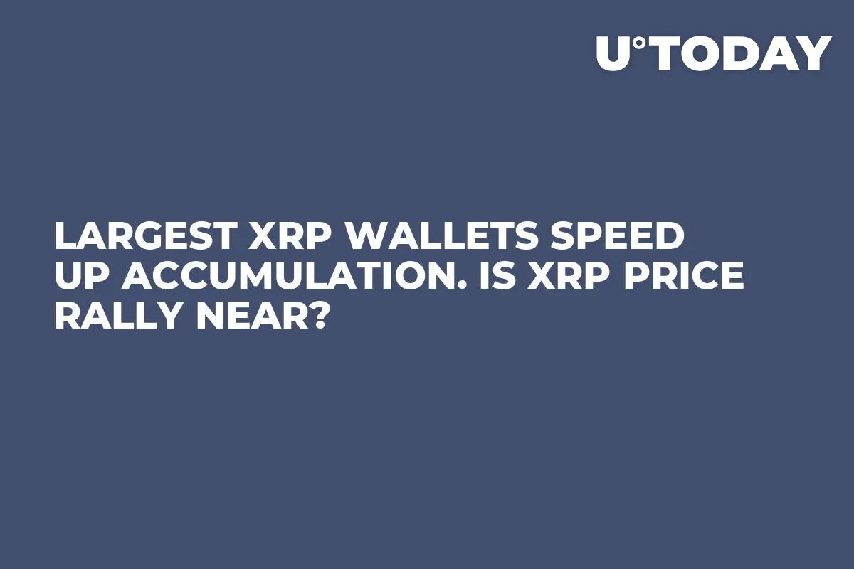 Largest XRP Wallets Speed Up Accumulation. Is XRP Price Rally Near?