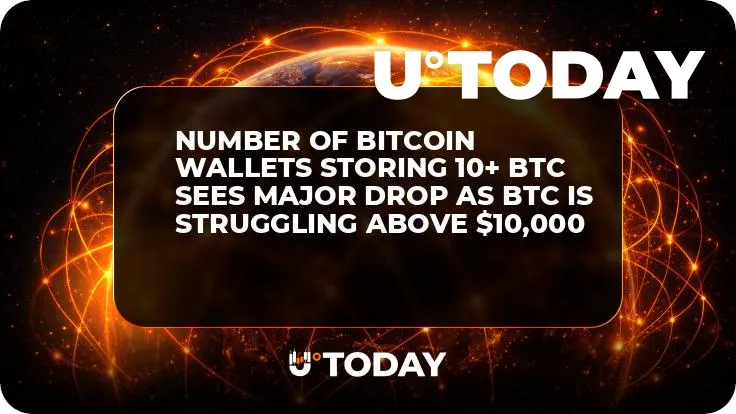 Number of Bitcoin Wallets Storing 10+ BTC Sees Major Drop as BTC Is Struggling Above $10,000