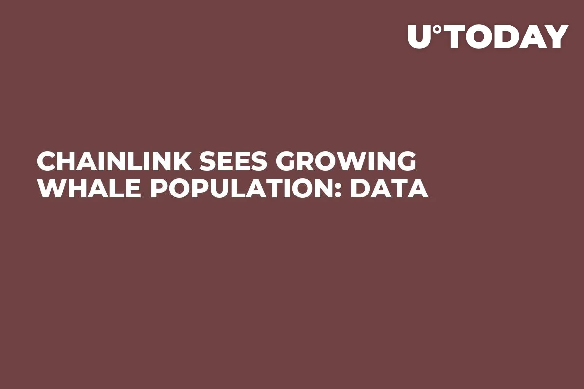 Chainlink Sees Growing Whale Population: Data