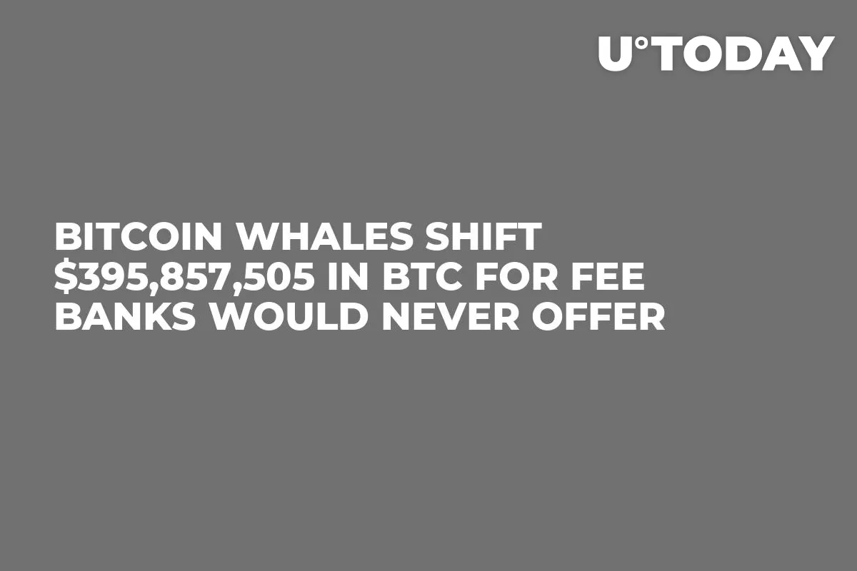 Bitcoin Whales Shift $395,857,505 in BTC for Fee Banks Would Never Offer