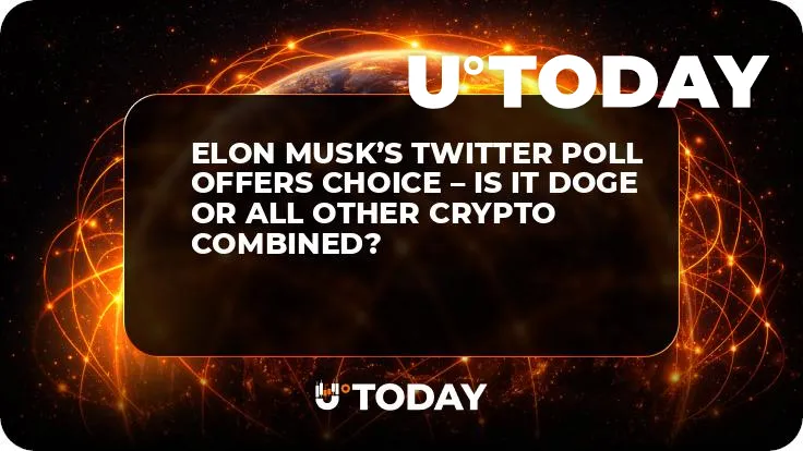 Elon Musk’s Twitter Poll Offers Choice – Is It DOGE or All Other Crypto Combined?