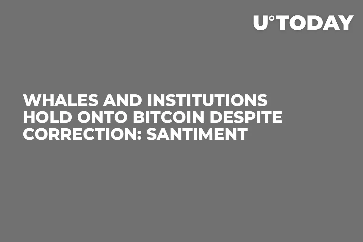 Whales and Institutions Hold onto Bitcoin Despite Correction: Santiment