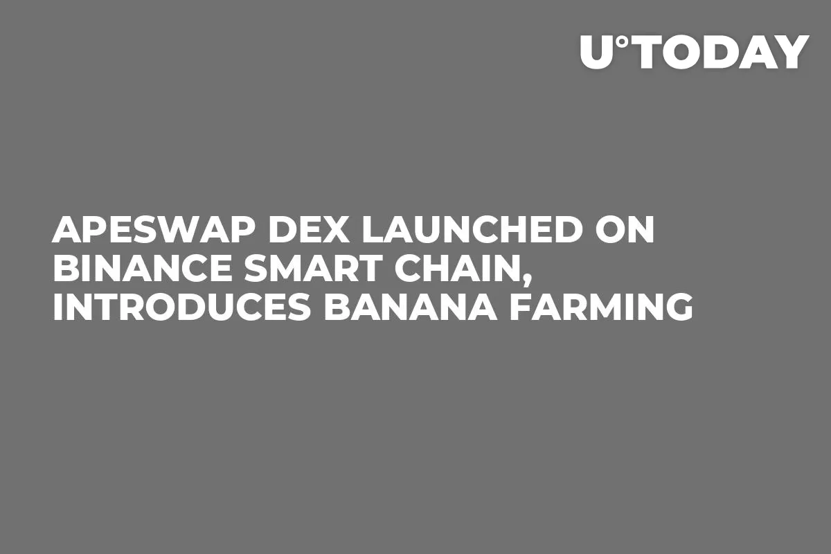 ApeSwap DEX Launched on Binance Smart Chain, Introduces BANANA Farming