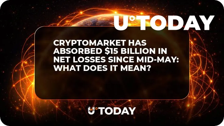 Cryptomarket Has Absorbed $15 Billion in Net Losses Since Mid-May: What Does It Mean?
