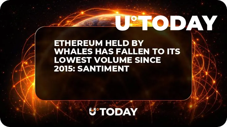 Ethereum Held by Whales Has Fallen to Its Lowest Volume since 2015: Santiment