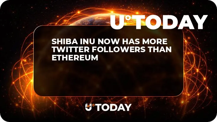 Shiba Inu Now Has More Twitter Followers Than Ethereum