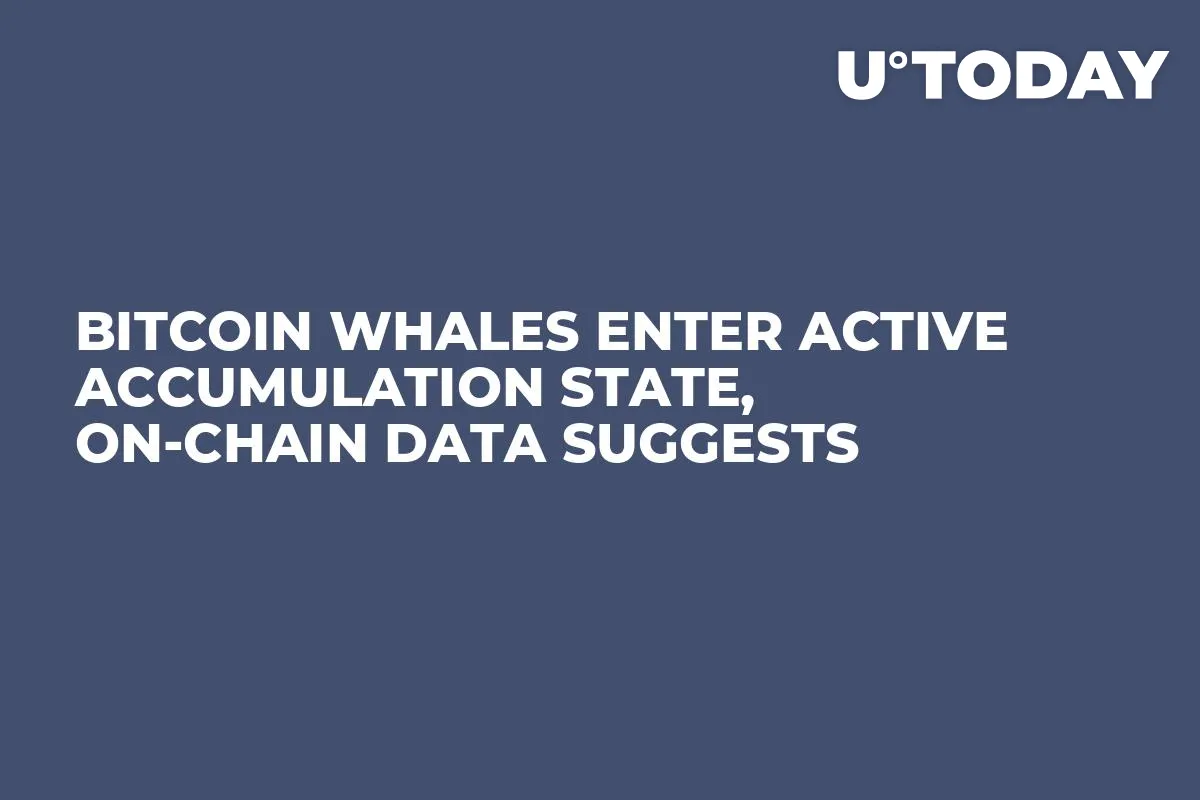 Bitcoin Whales Enter Active Accumulation State, On-Chain Data Suggests