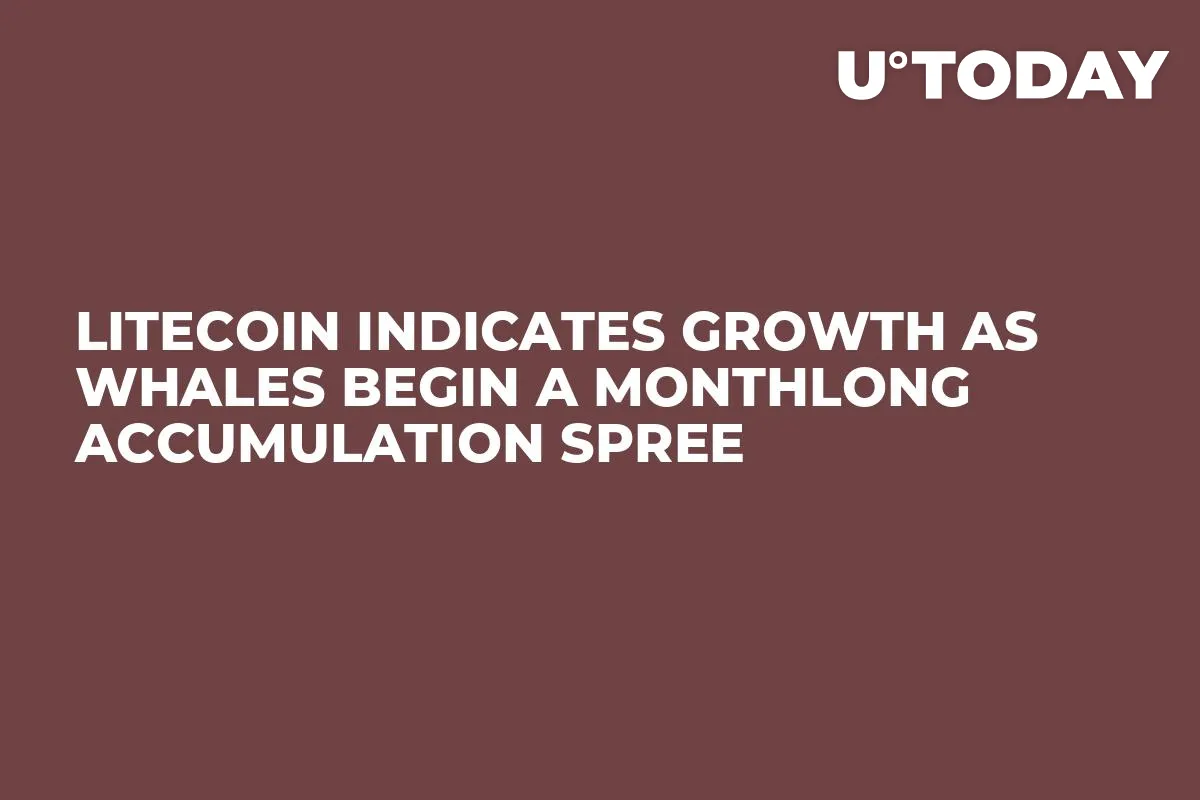 Litecoin Indicates Growth as Whales Begin a Monthlong Accumulation Spree