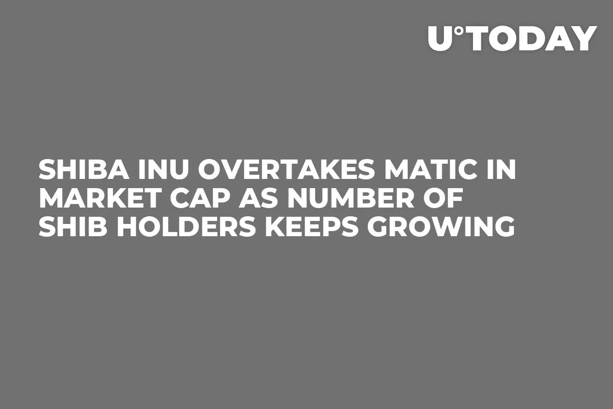 Shiba Inu Overtakes MATIC in Market Cap as Number of SHIB Holders Keeps Growing