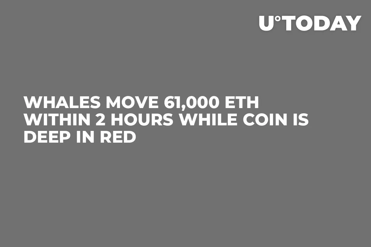 Whales Move 61,000 ETH Within 2 Hours While Coin Is Deep in Red