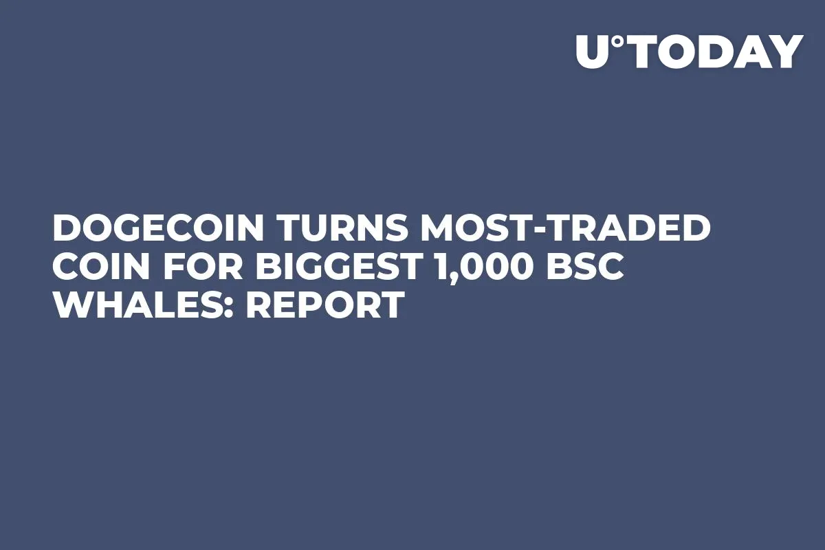Dogecoin Turns Most-Traded Coin for Biggest 1,000 BSC Whales: Report