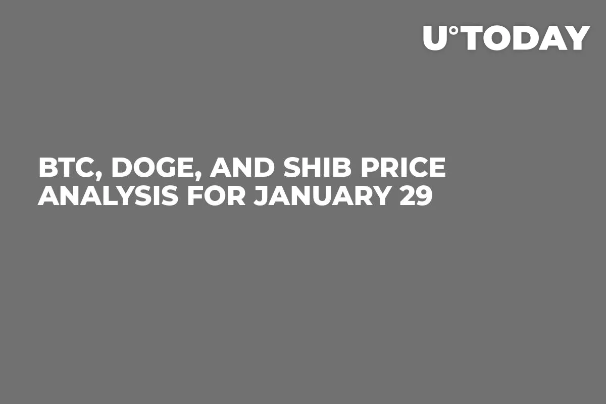 BTC, DOGE and SHIB Price Analysis for January 29