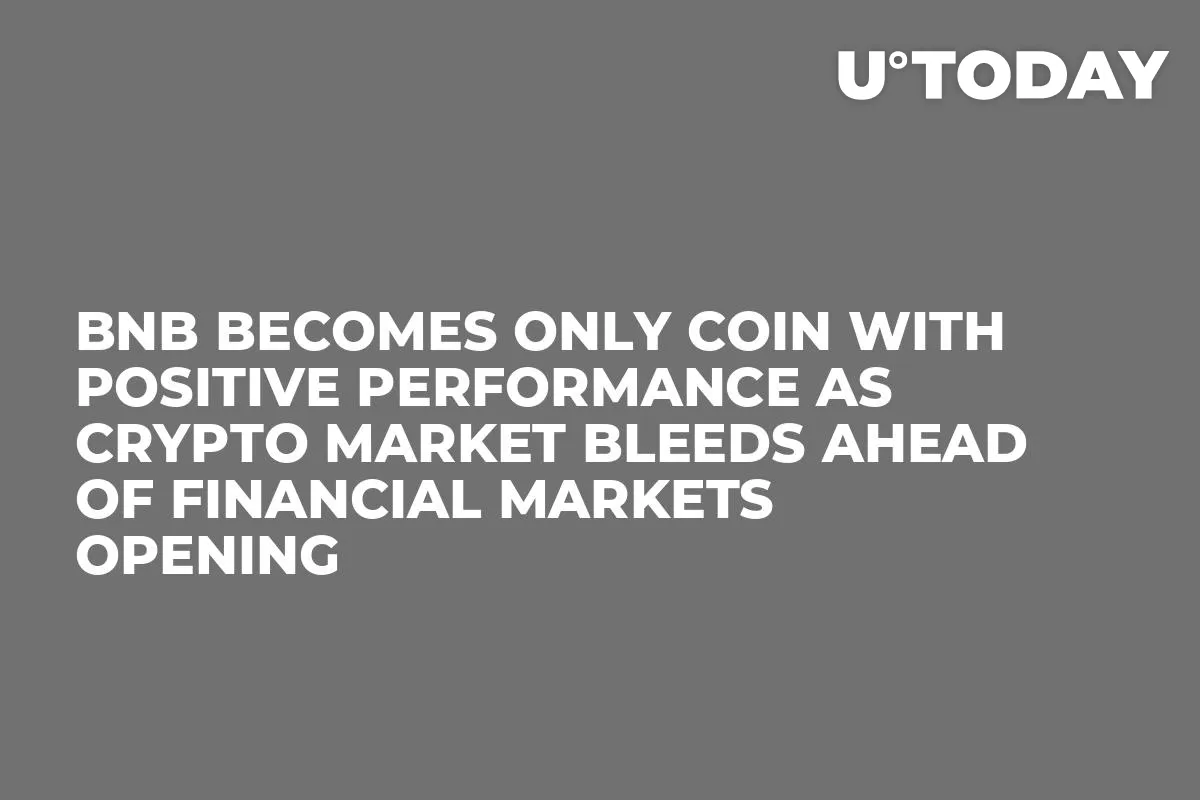 BNB Becomes Only Coin with Positive Performance as Crypto Market Bleeds Ahead of Financial Markets Opening