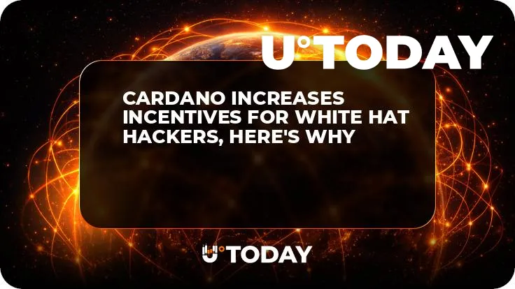 Cardano Increases Incentives for White Hat Hackers, Here's Why