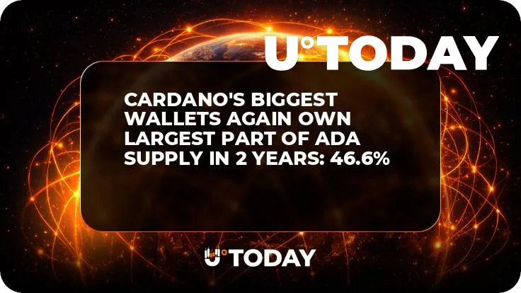 Cardano's Biggest Wallets Again Own Largest Part of ADA Supply in 2 Years: 46.6%