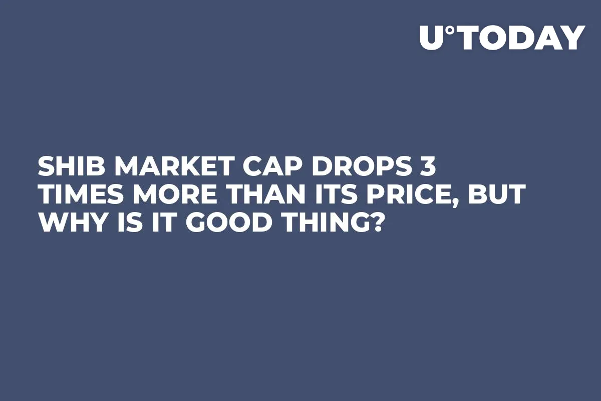 SHIB Market Cap Drops 3 Times More Than Its Price, But Why Is It Good Thing?