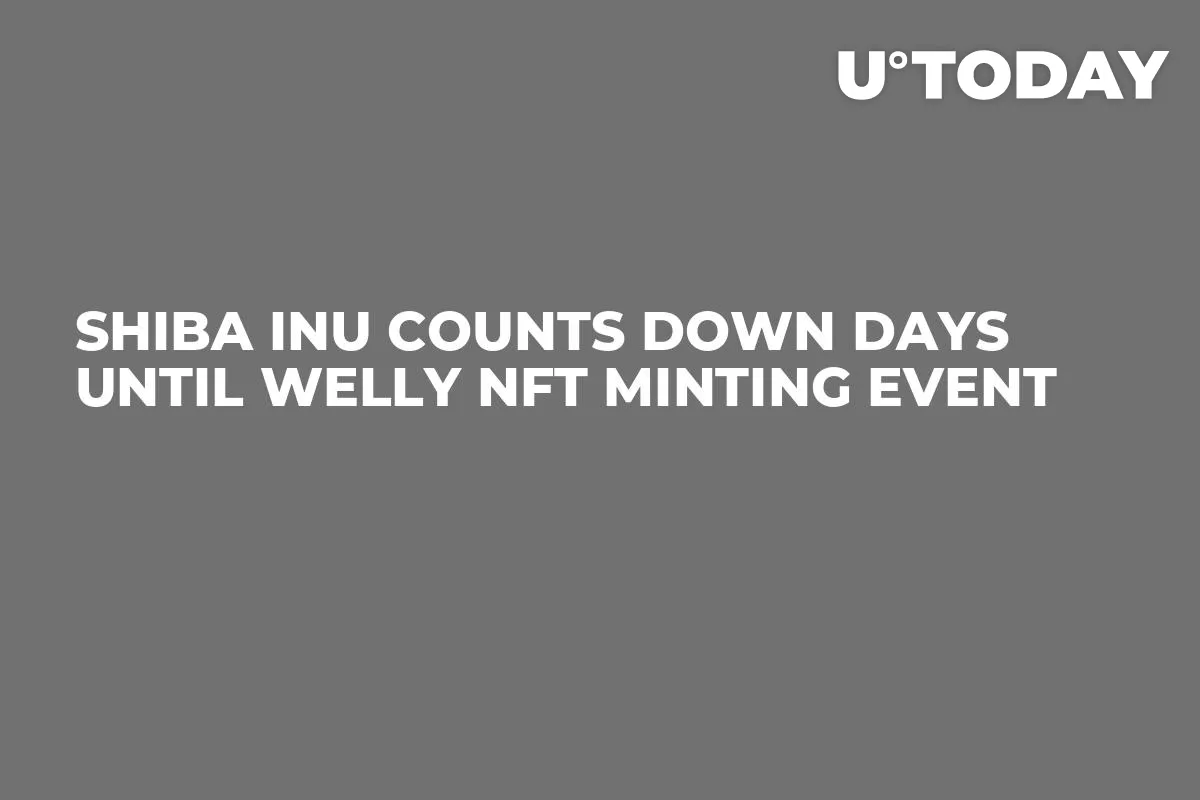 Shiba Inu Counts Down Days Until Welly NFT Minting Event