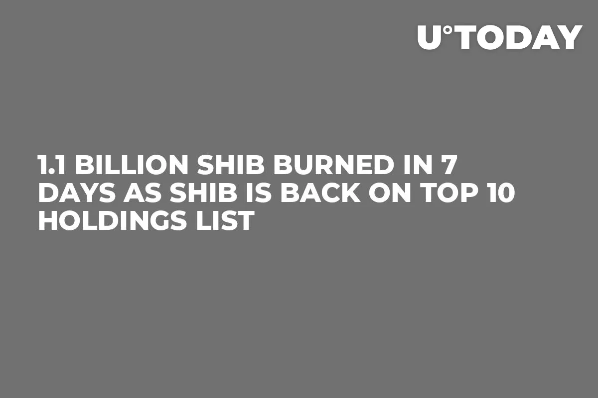 1.1 Billion SHIB Burned in 7 Days as SHIB Is Back on Top 10 Holdings List