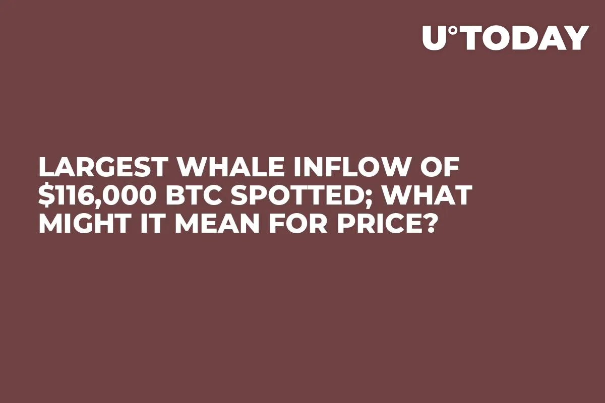 Largest Whale Inflow of $116,000 BTC Spotted; What Might It Mean for Price?