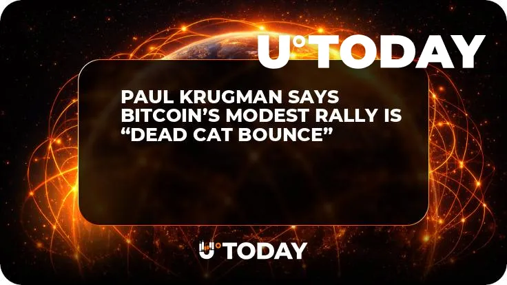 Paul Krugman Says Bitcoin’s Modest Rally Is “Dead Cat Bounce”