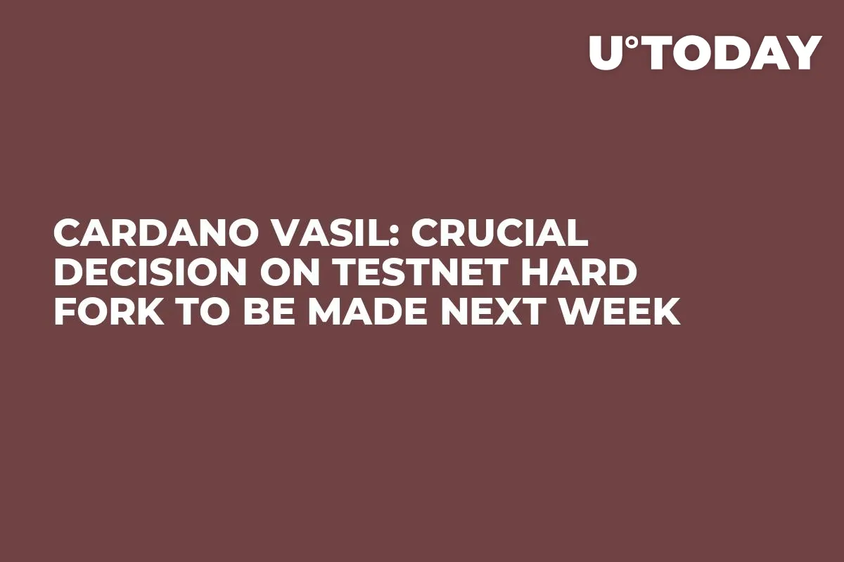 Cardano Vasil: Crucial Decision on Testnet Hard Fork to Be Made Next Week