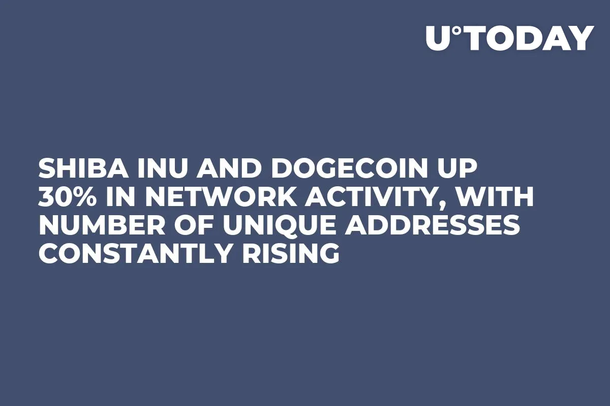Shiba Inu and Dogecoin up 30% in Network Activity, With Number of Unique Addresses Constantly Rising