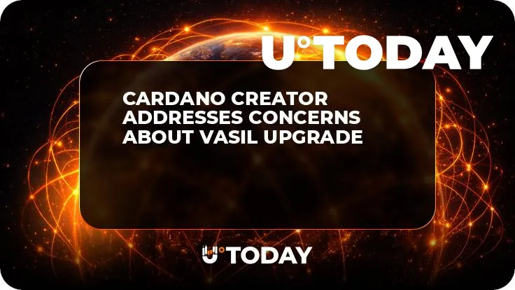 Cardano Creator Addresses Concerns About Vasil Upgrade