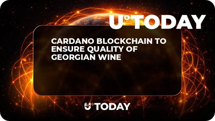 Cardano Blockchain to Ensure Quality of Georgian Wine
