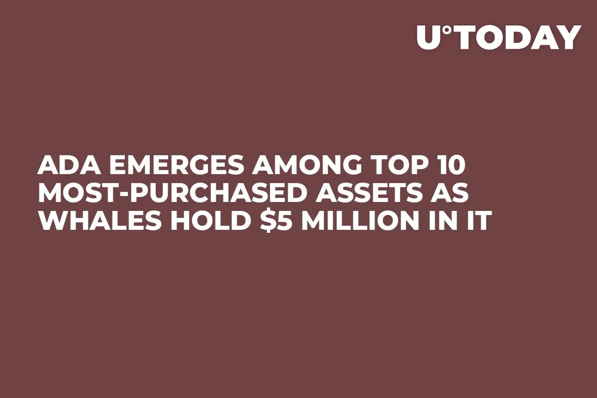 ADA Emerges Among Top 10 Most-Purchased Assets as Whales Hold $5 Million in It