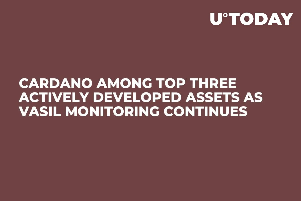 Cardano Among Top Three Actively Developed Assets as Vasil Monitoring Continues