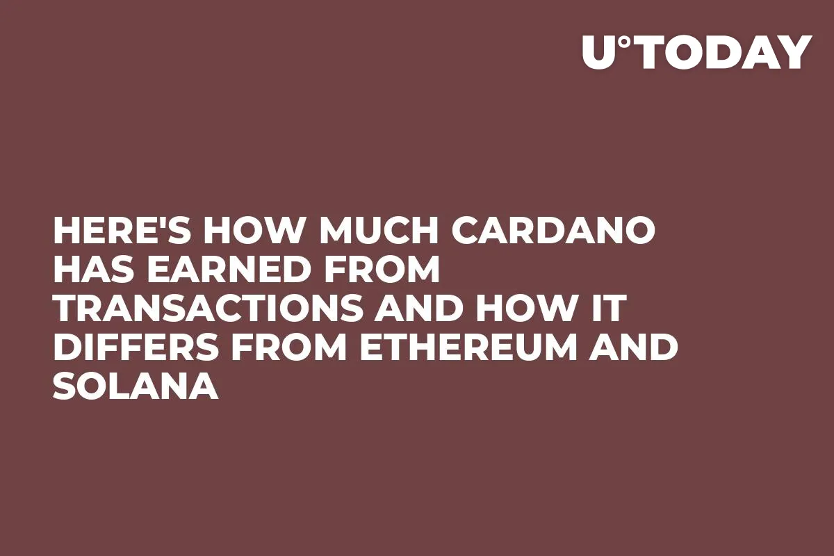 Here's How Much Cardano Has Earned from Transactions and How It Differs from Ethereum and Solana