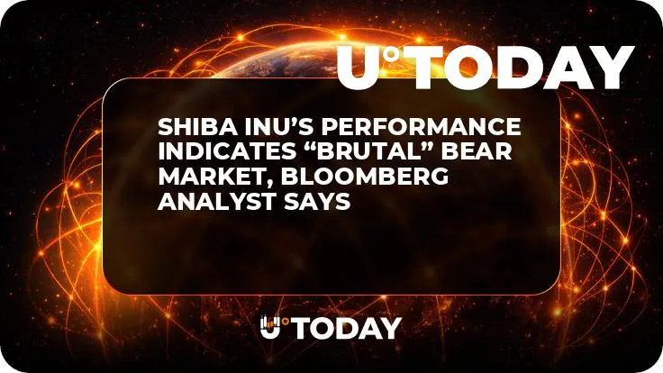 Shiba Inu’s Performance Indicates “Brutal” Bear Market, Bloomberg Analyst Says