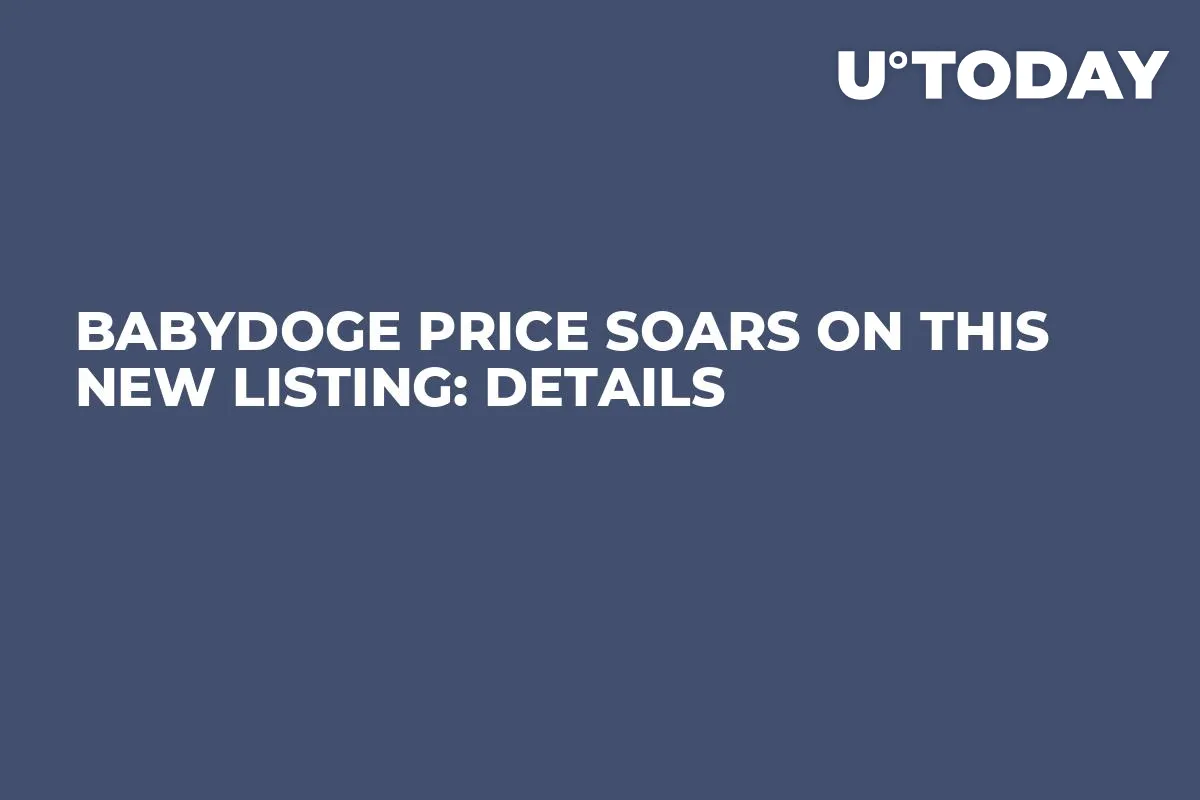 BabyDoge Price Soars on This New Listing: Details