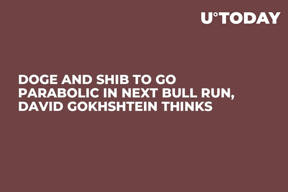 DOGE and SHIB to Go Parabolic in Next Bull Run, David Gokhshtein Thinks