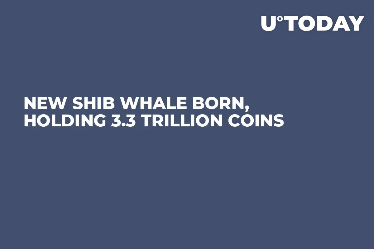 New SHIB Whale Born, Holding 3.3 Trillion Coins
