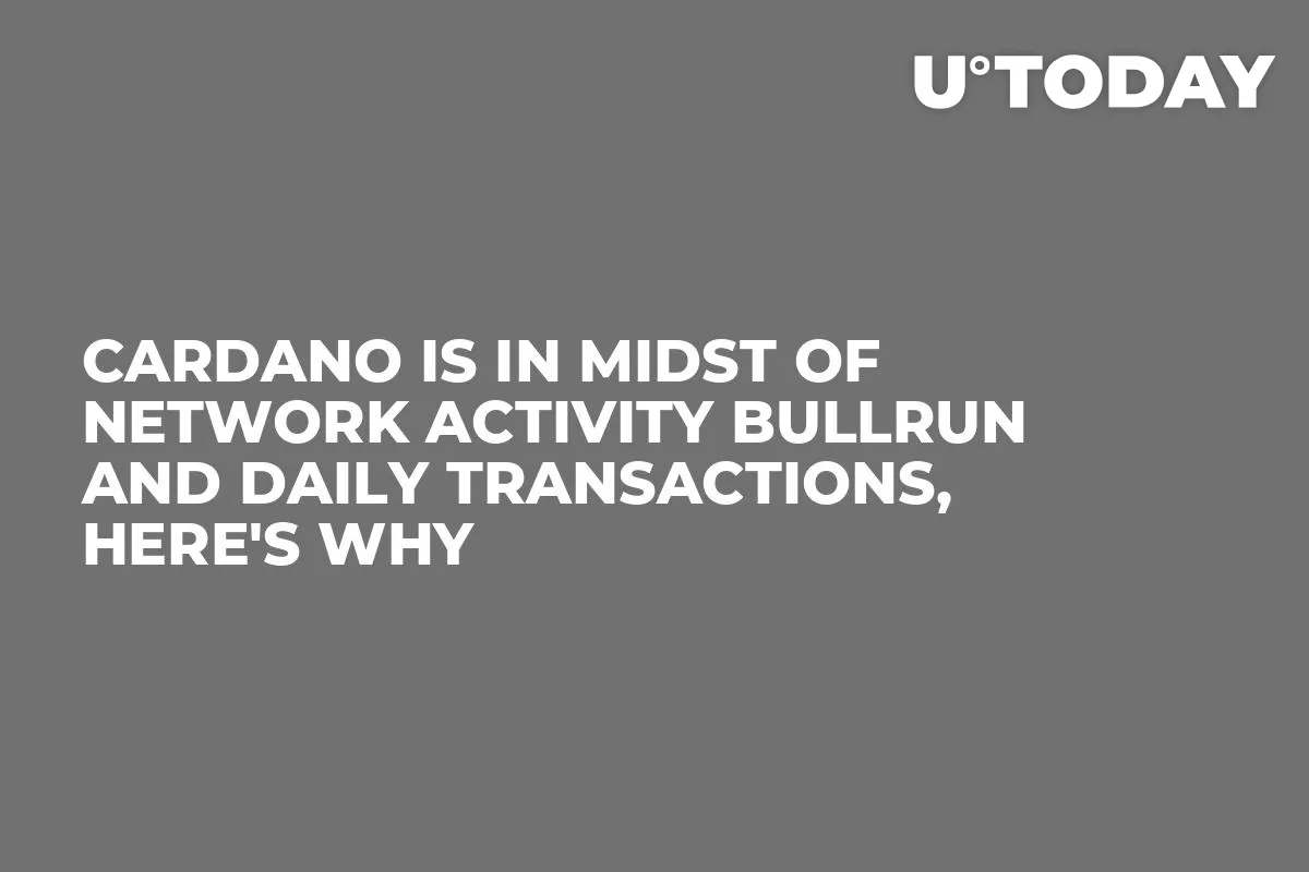 Cardano Is in Midst of Network Activity Bullrun and Daily Transactions, Here's Why