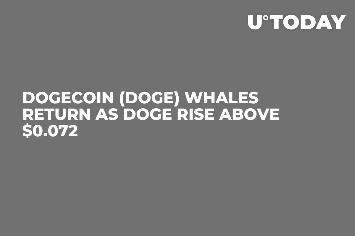 Dogecoin (DOGE) Whales Return as DOGE Rise Above $0.072