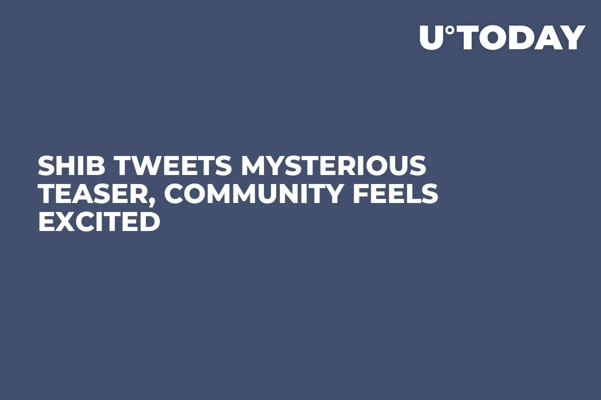 Shib Tweets Mysterious Teaser, Community Feels Excited