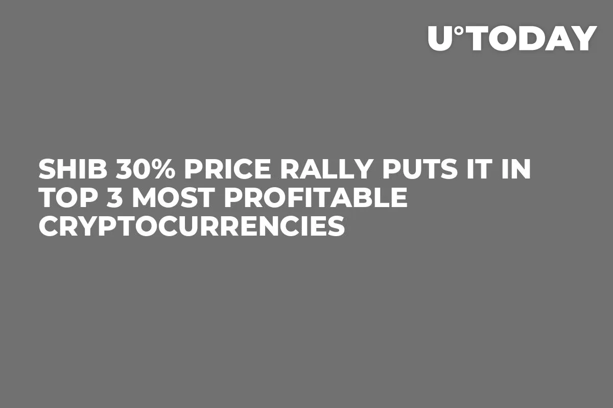 SHIB 30% Price Rally Puts It in Top 3 Most Profitable Cryptocurrencies