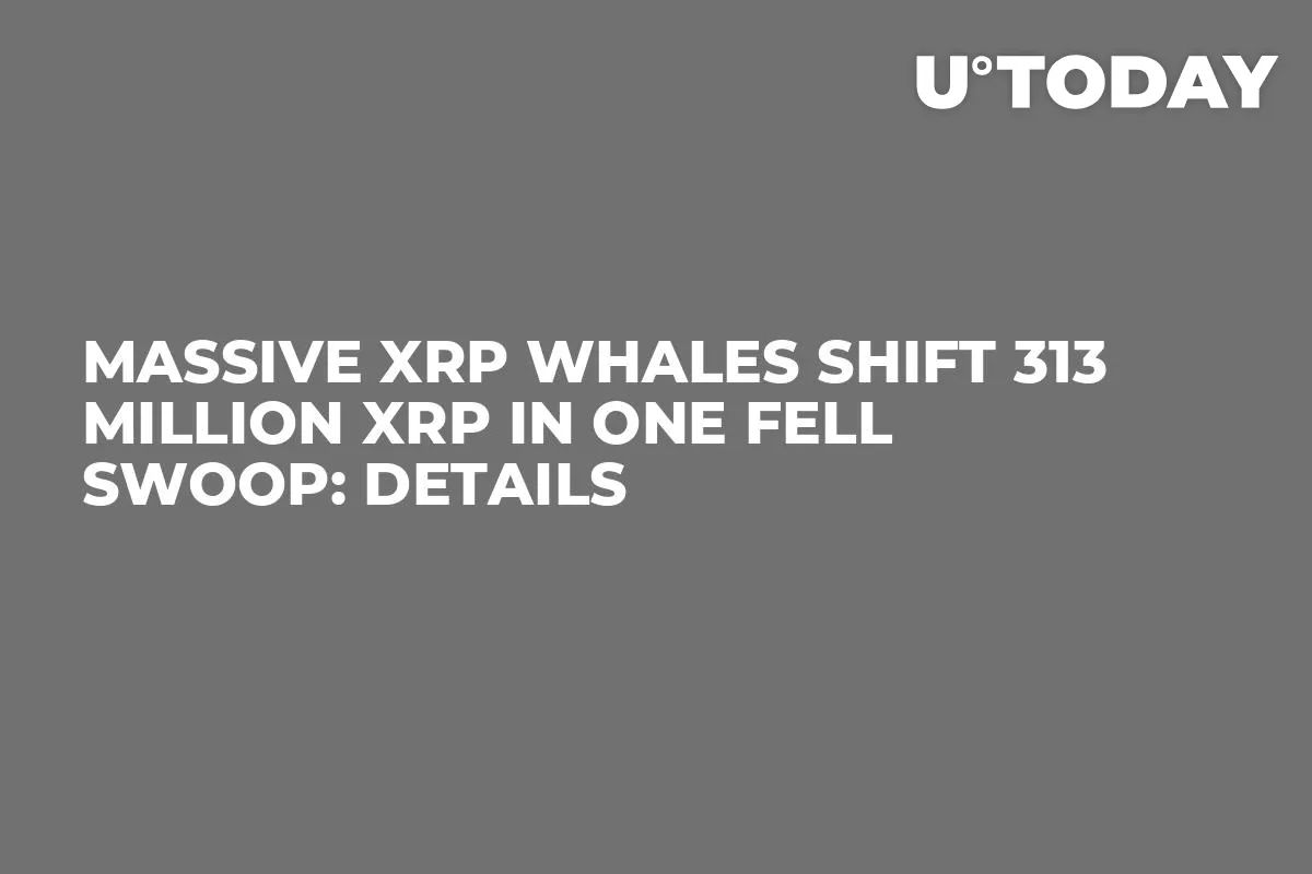 Massive XRP Whales Shift 313 Million XRP in One Fell Swoop: Details