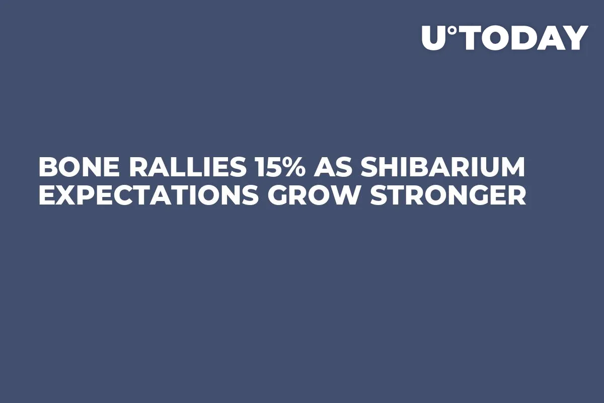 BONE Rallies 15% as Shibarium Expectations Grow Stronger