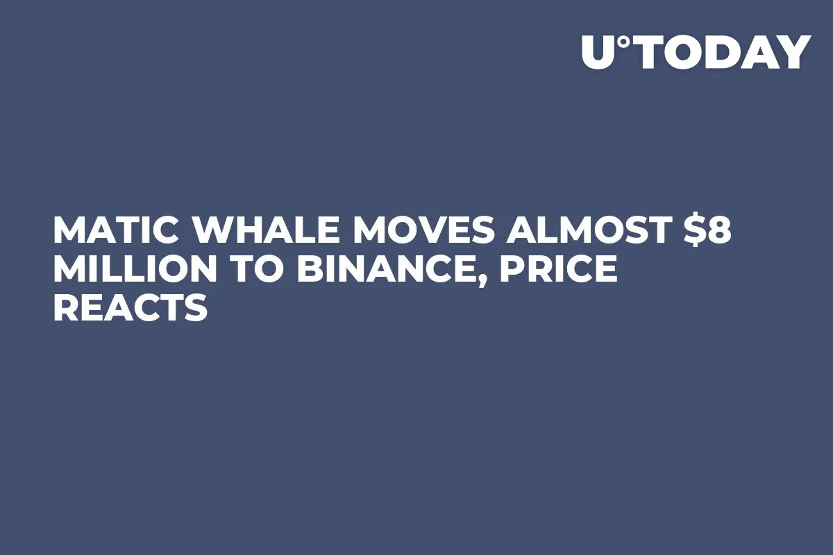 MATIC Whale Moves Almost $8 Million to Binance, Price Reacts