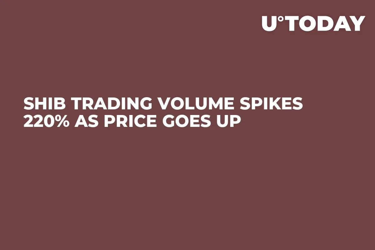 SHIB Trading Volume Spikes 220% as Price Goes Up